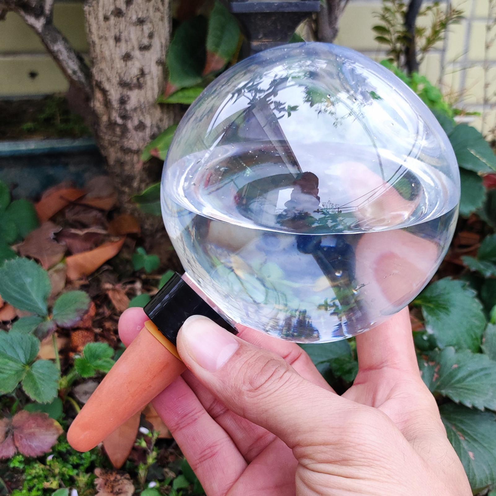 500ml Automatic Watering Globe - Self Watering Insert ulasan dan harga