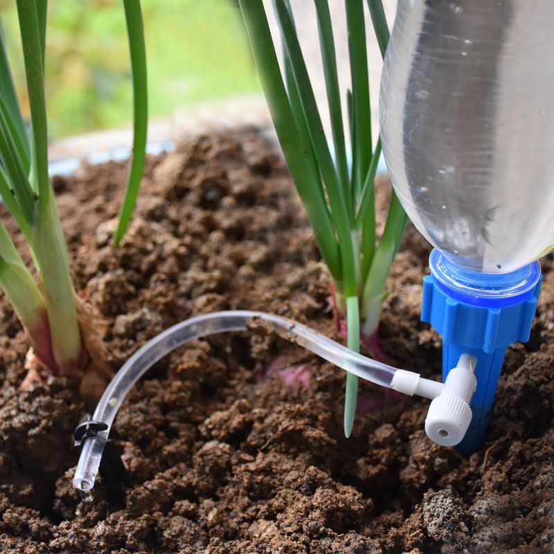 Drip Irrigation Automatic Plan - Self Watering Insert ulasan dan harga