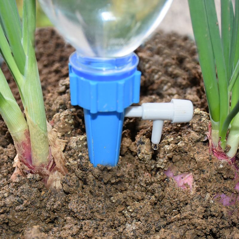 Drip Irrigation Automatic Plan - Self Watering Insert ulasan dan harga