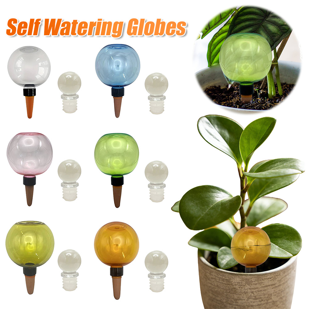 Self Watering Planter Insert T - Self Watering Insert ulasan dan harga