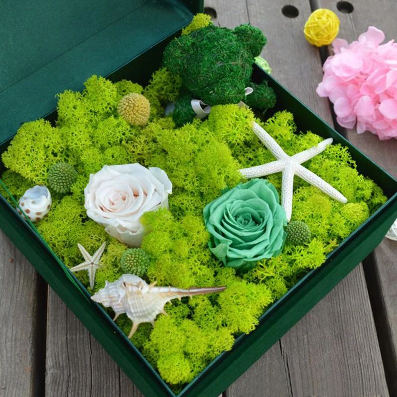 Artificial Green Plant Moss Gr - Sphagnum Moss Dry ulasan dan harga